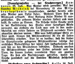 27.07.1916 Bericht der Linzer Tagespost über Milzbrand in Wiedelah